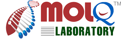 MolQ Lab